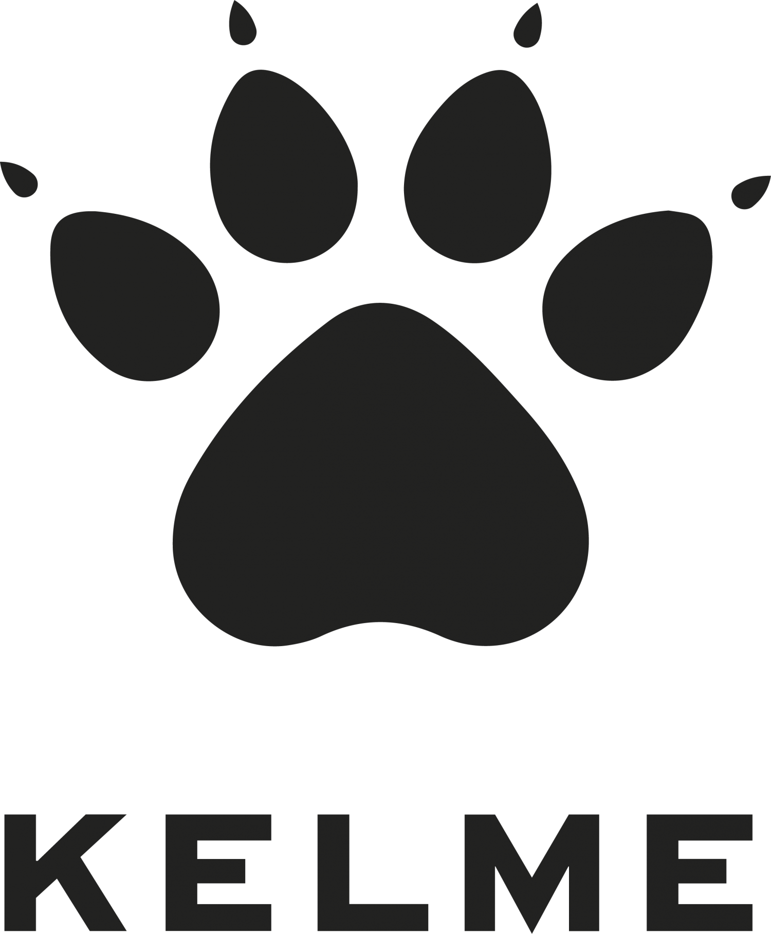 Фото KELME